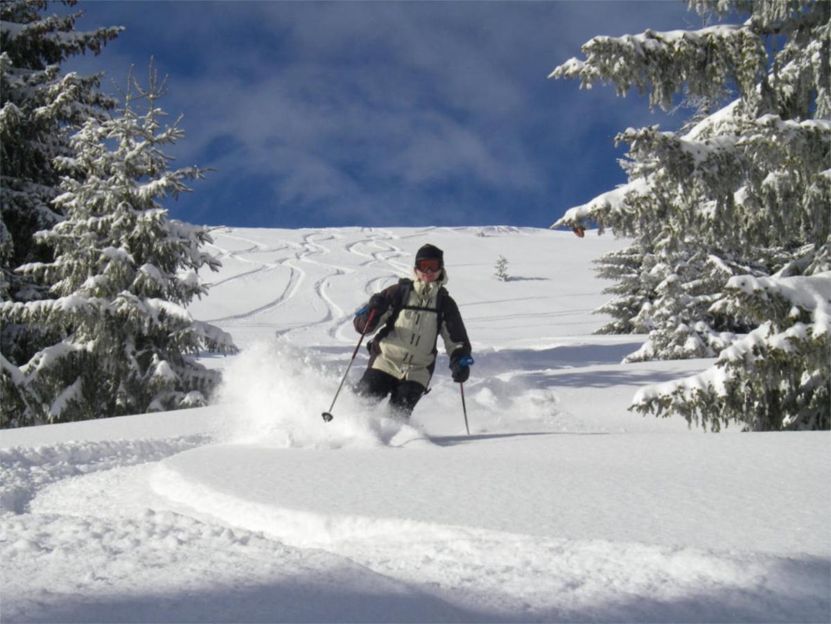 Chalet Aventure B&B Les Gets Exterior photo