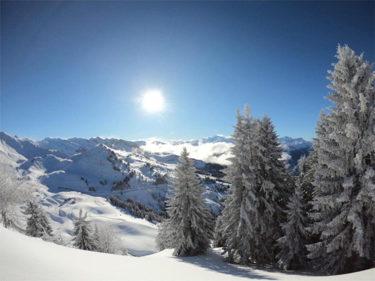 Chalet Aventure B&B Les Gets Exterior photo
