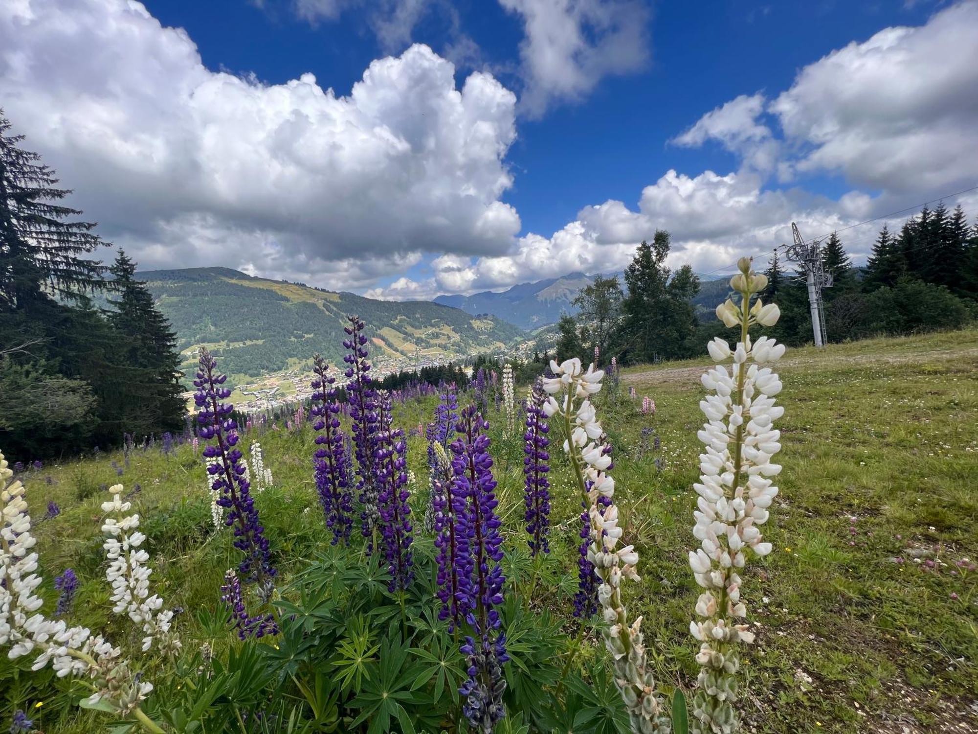 Chalet Aventure B&B Les Gets Exterior photo
